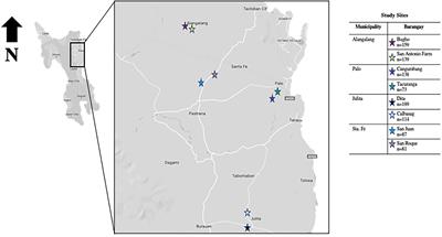 Diagnostic Performance of Parasitological, Immunological, Molecular, and Ultrasonographic Tests in Diagnosing Intestinal Schistosomiasis in Fieldworkers From Endemic Municipalities in the Philippines